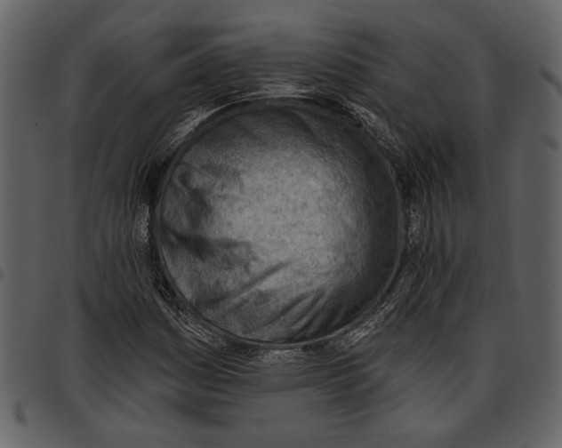 X0000096951161200802291049