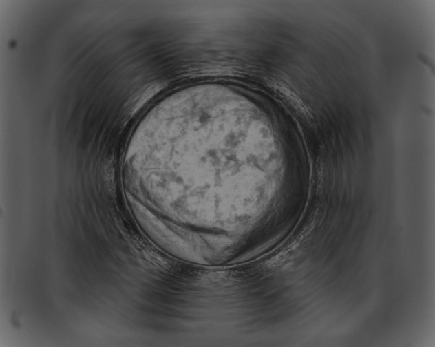 X0000096951162200802291049