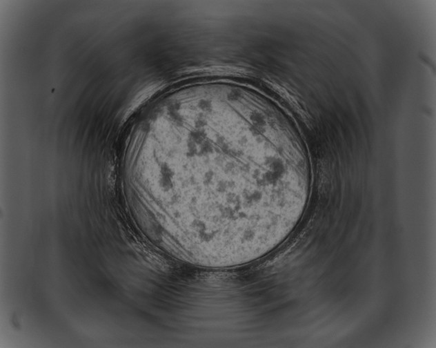 X0000096951163200802291049