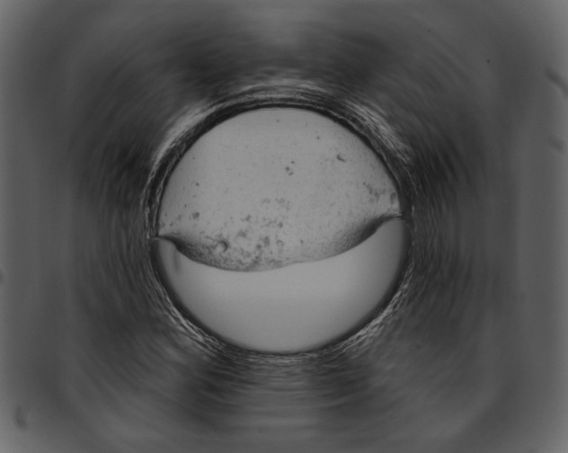 X0000096951164200802291049