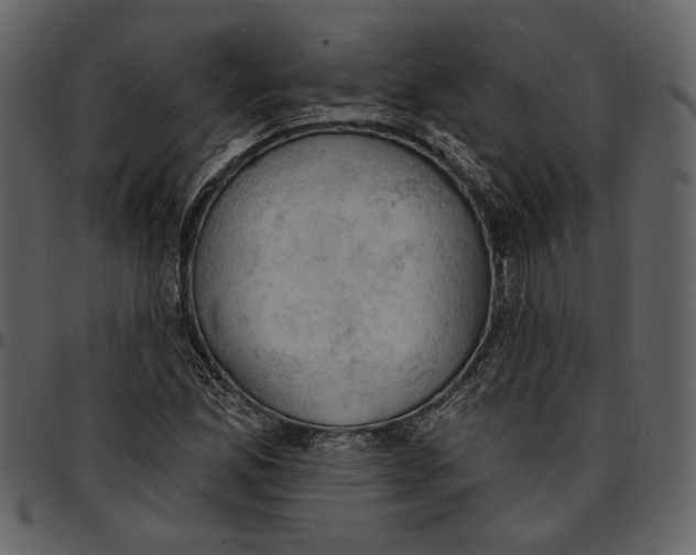 X0000096951165200802291049