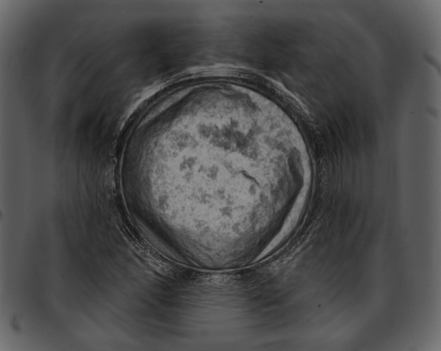 X0000096951166200802291049