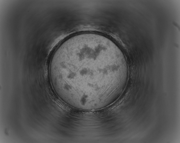 X0000096951167200802291049