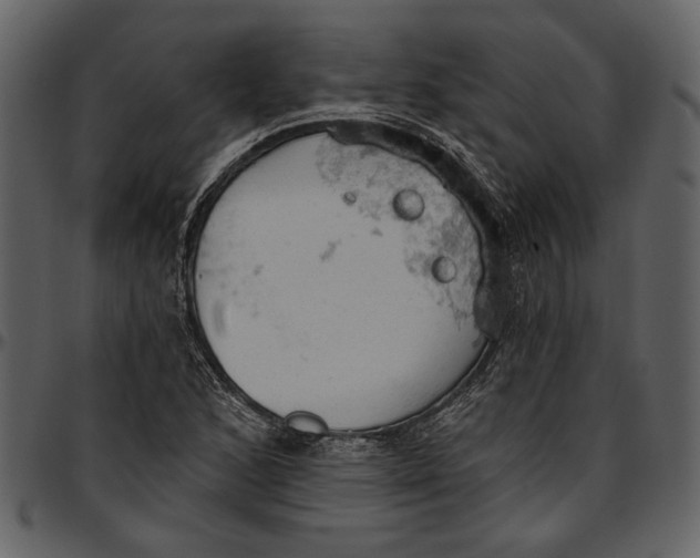 X0000096951168200802291049