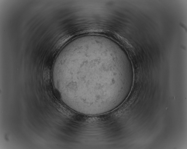 X0000096951169200802291049