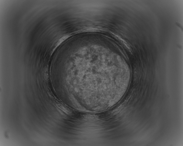 X0000096951170200802291049