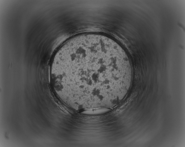 X0000096951171200802291049