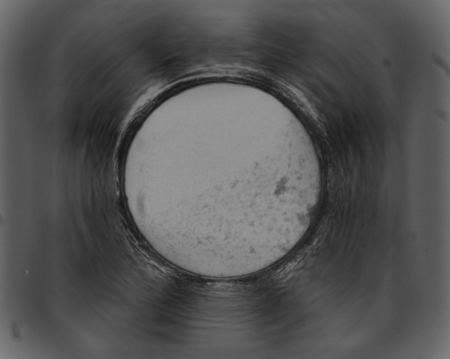 X0000096951172200802291049