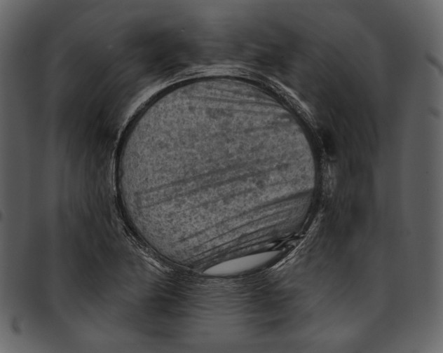 X0000096951174200802291049