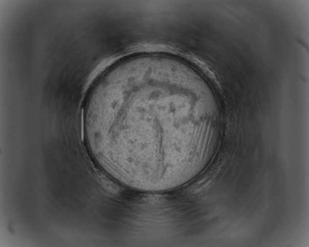 X0000096951175200802291049