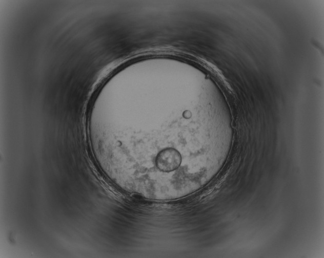 X0000096951176200802291049