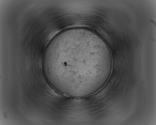 X0000096951177200802291049