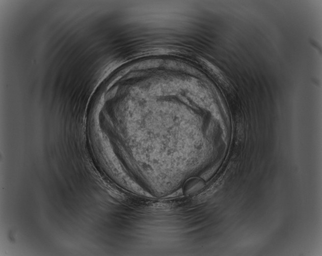 X0000096951178200802291049