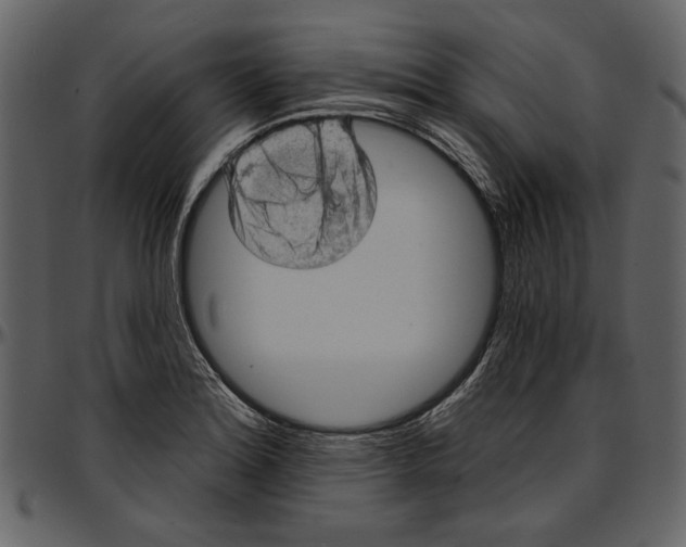 X0000096951180200802291049