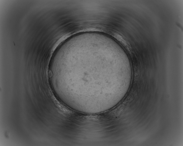 X0000096951181200802291049