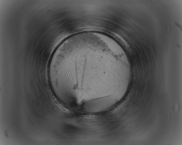 X0000096951182200802291049