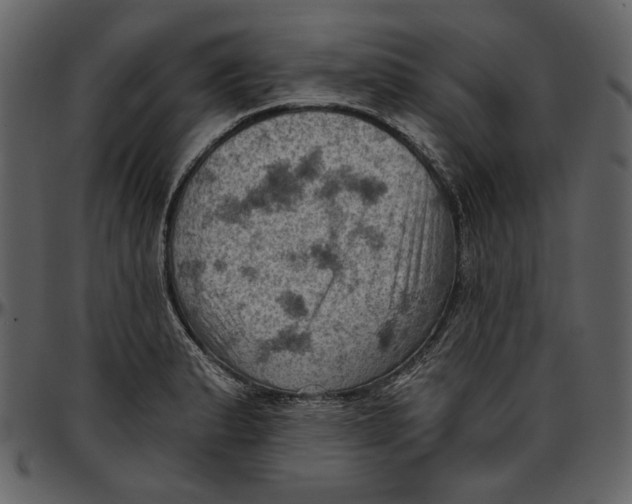 X0000096951183200802291049