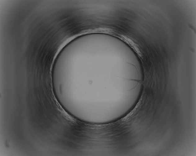 X0000096951184200802291049