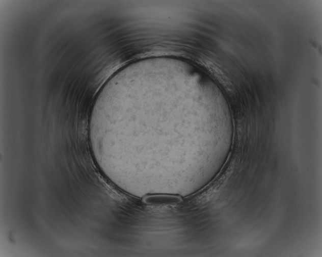 X0000096951185200802291049