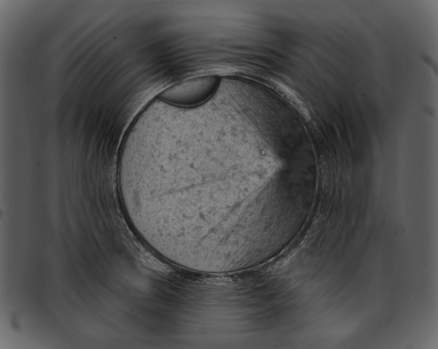 X0000096951186200802291049