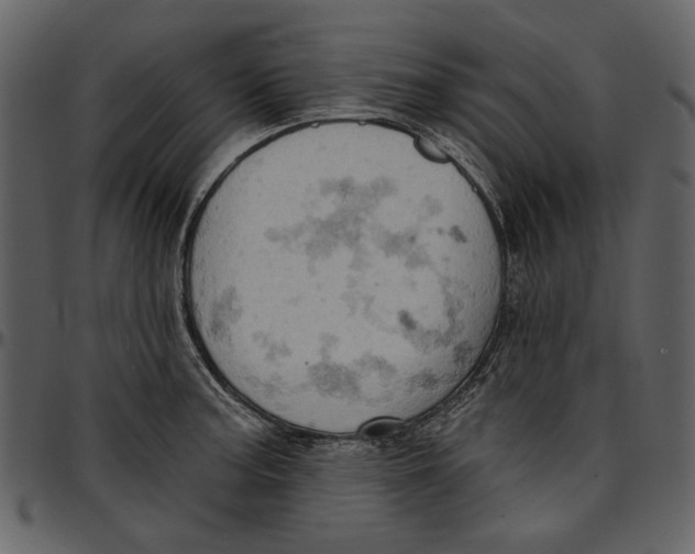 X0000096951187200802291049