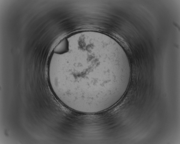 X0000096951188200802291049