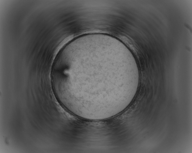 X0000096951189200802291049