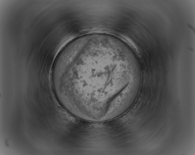 X0000096951190200802291049