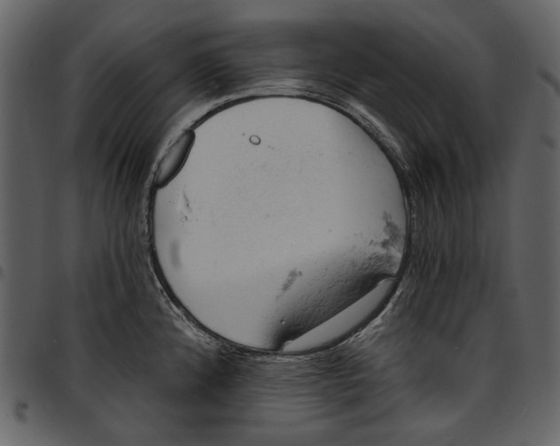 X0000096951192200802291049