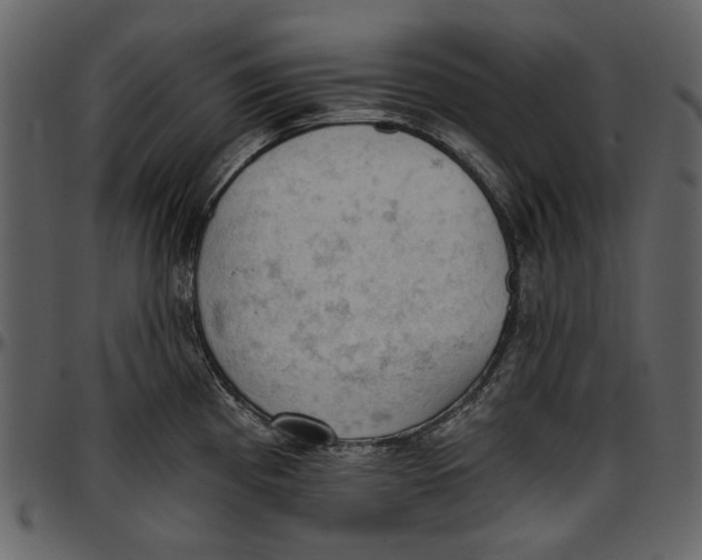 X0000096951193200802291049