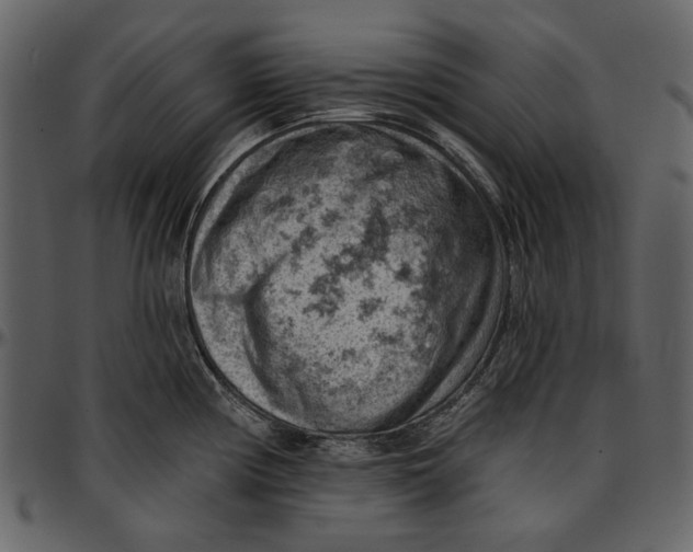 X0000096951194200802291049