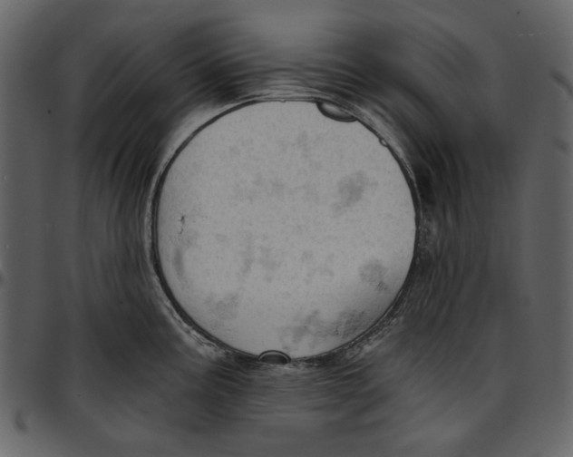 X0000096951195200802291049