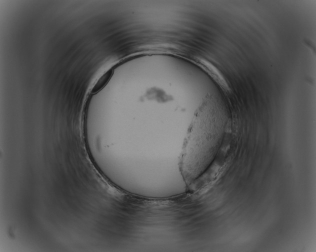 X0000096951196200802291049