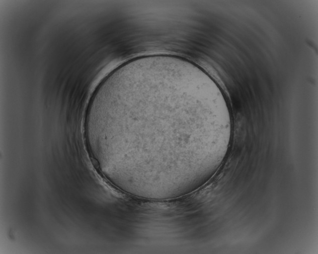 X0000096951197200802291049