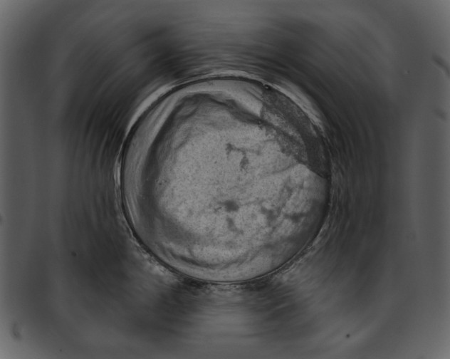 X0000096951198200802291049