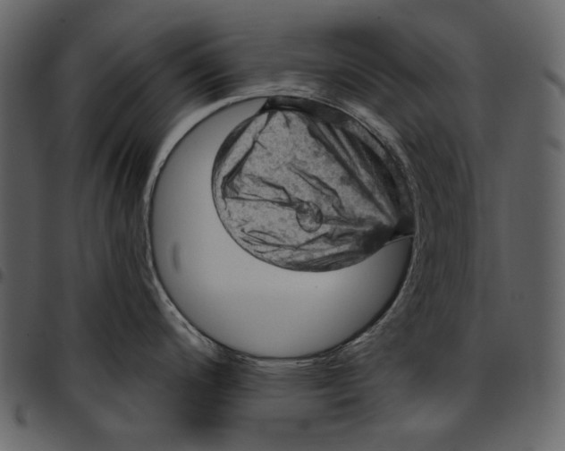 X0000096951200200802291049