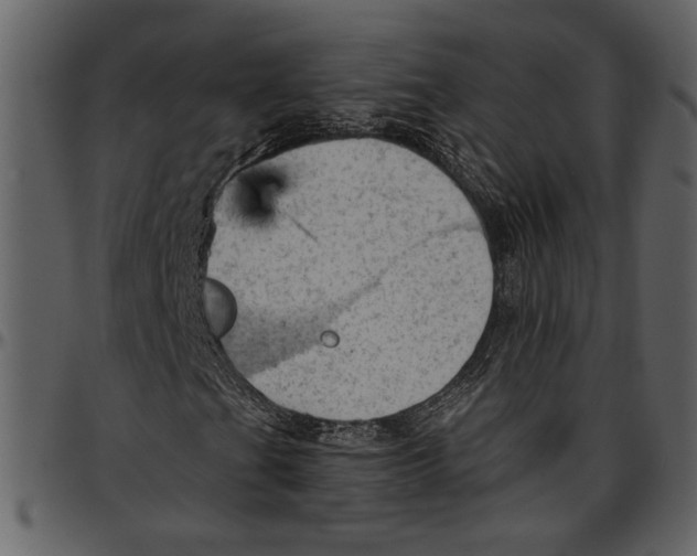 X0000096951201200802291048