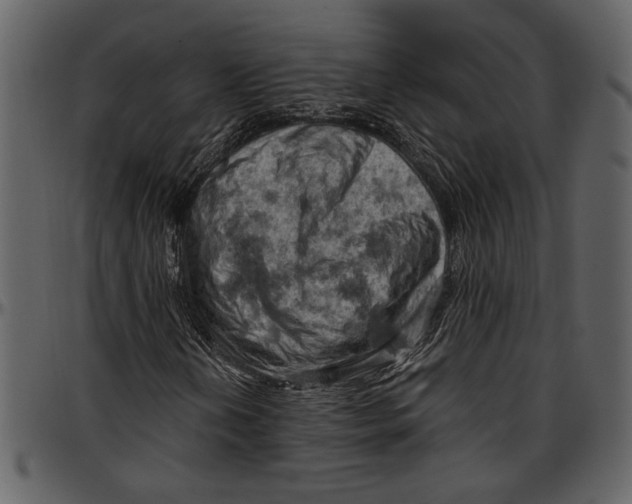 X0000096951202200802291048