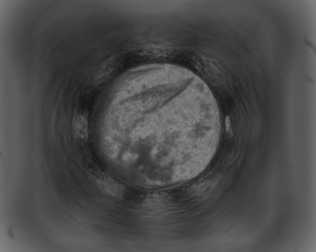 X0000096951203200802291048