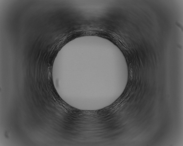 X0000096951204200802291048