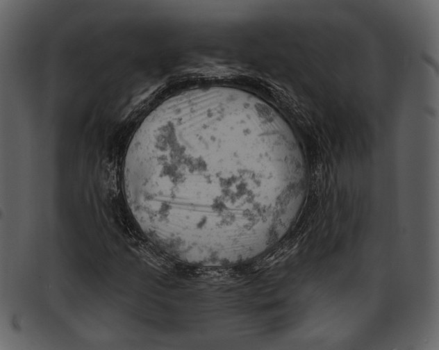 X0000096951205200802291048