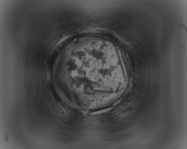 X0000096951206200802291048