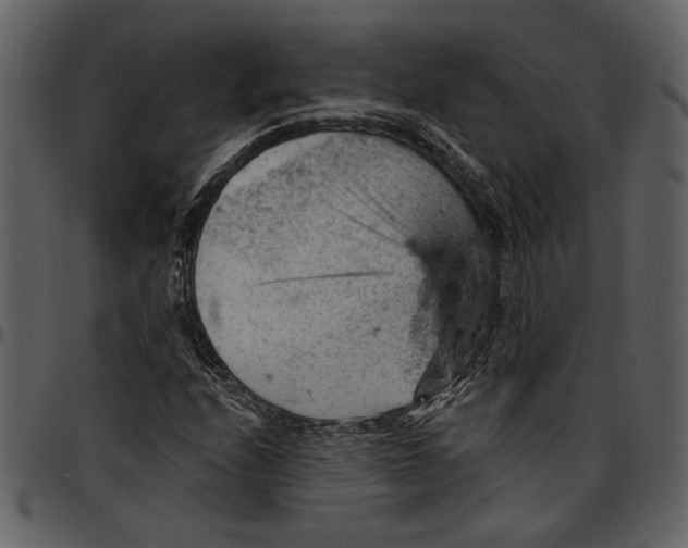 X0000096951208200802291048