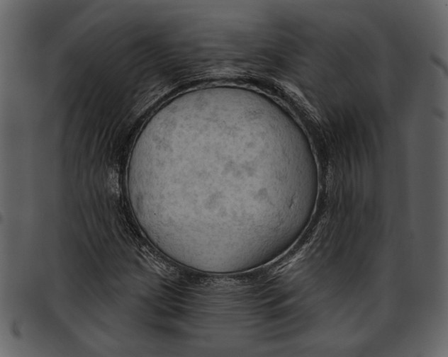 X0000096951209200802291048