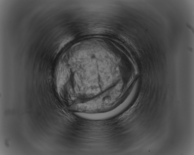 X0000096951210200802291048