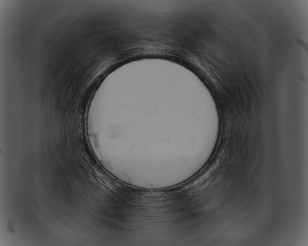 X0000096951211200802291048