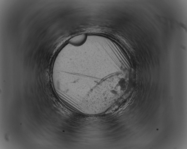 X0000096951212200802291048