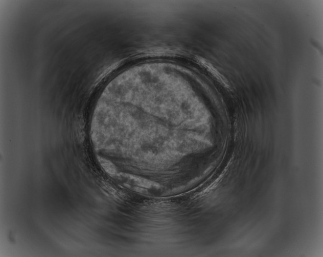 X0000096951213200802291048