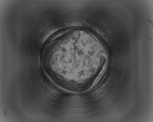 X0000096951214200802291048