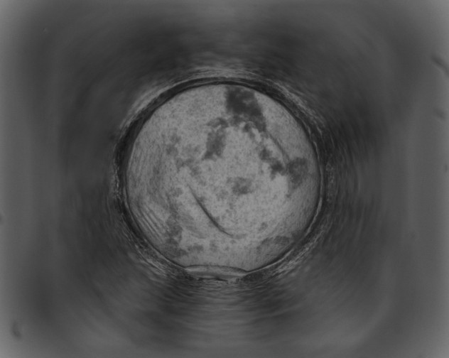 X0000096951215200802291048